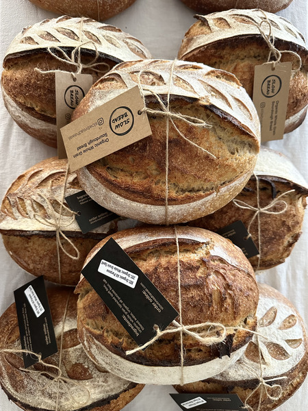 Classic Sourdough - Image 3